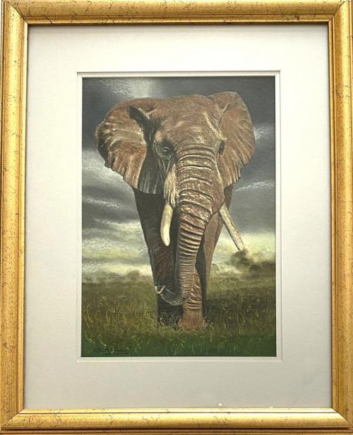 African Elephant » Stuart Astley Wildlife Artist