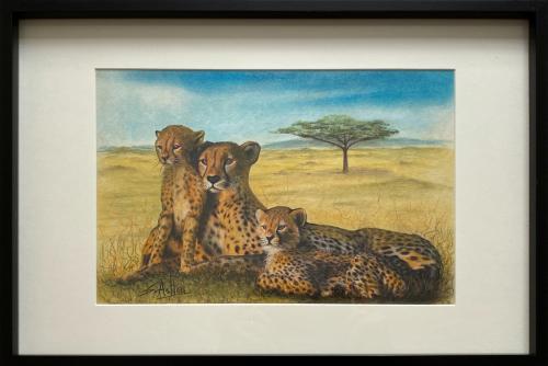 Cheetah Family