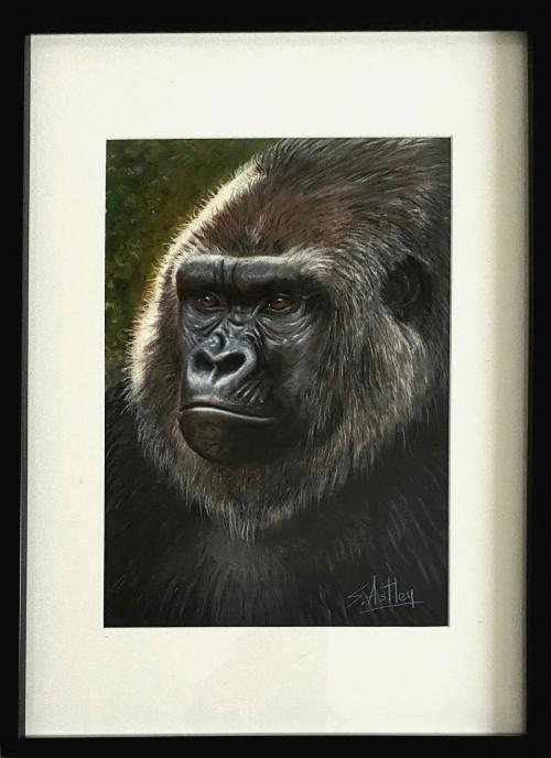 Silverback Gorilla Portrait