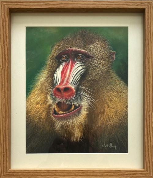 Mandrill