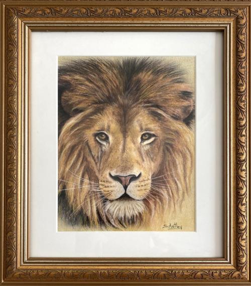 Lion Portrait