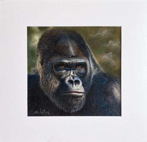 Gorilla Portrait