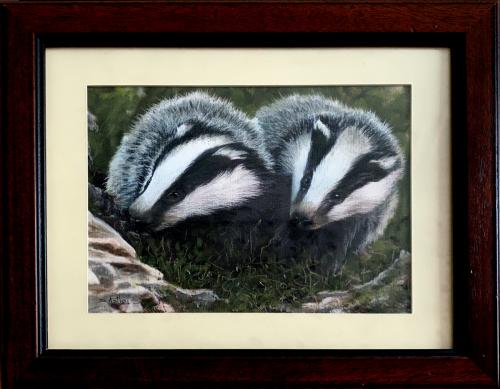 Secretive Badgers