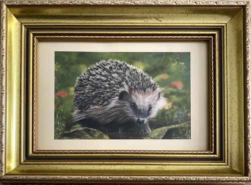 Hedgehog