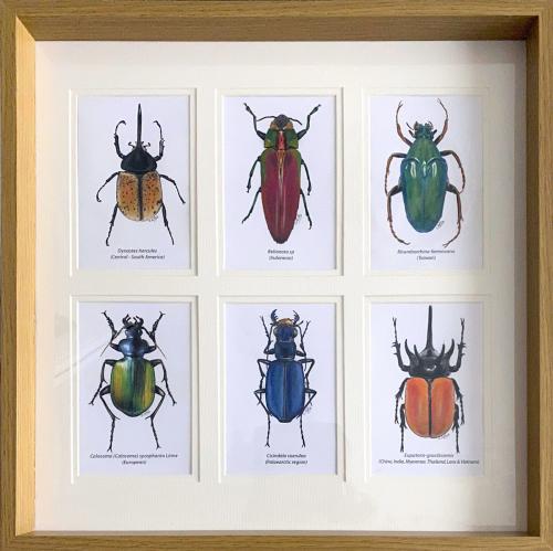 Exotic Beetles 2 