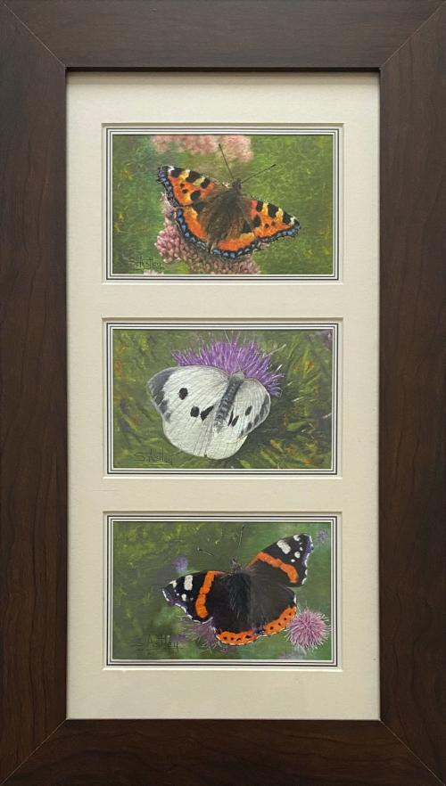 Butterflies 1