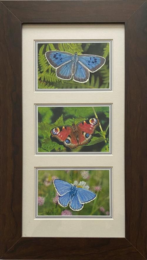 Butterflies 2