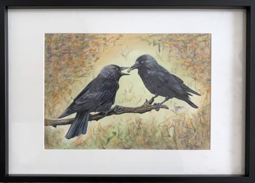 Two Jackdaws