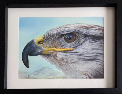 Eagle Portrait