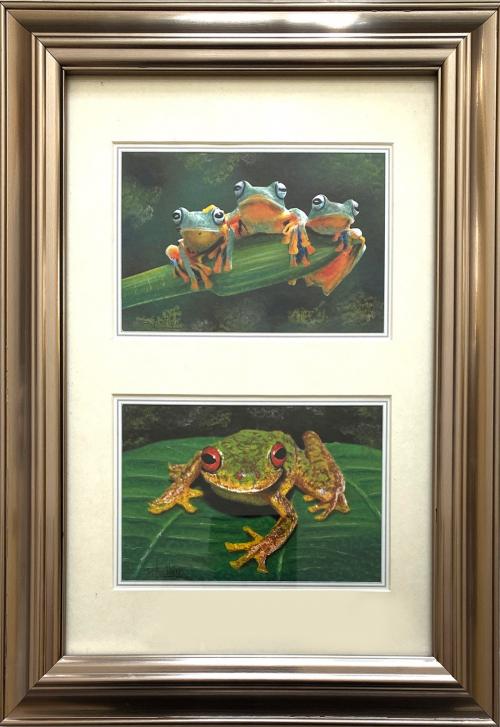 Exotic Frogs